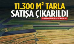 Manisa'da yatırım fırsatı! Tarla satılıyor…