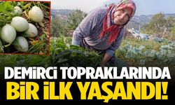 Şifa deposu pepino Demirci topraklarında!