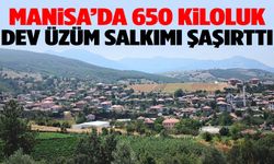 Manisa’da 650 kiloluk dev üzüm salkımı şaşırttı