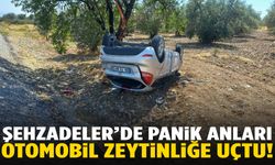 Şehzadeler’de otomobil zeytinliğe uçtu!