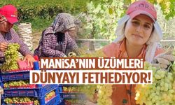 Manisa’nın üzümleri dünyayı fethediyor!