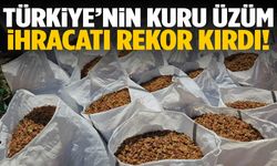 Ege’nin kuru üzümü İngiltere’ye damga vurdu!