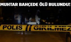 Muhtar bahçede ölü bulundu