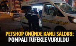 Petshop önünde kanlı saldırı: Pompalı tüfekle vuruldu