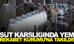 Rekabet Kurumu’ndan 39 süt firmasına soruşturma!