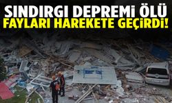 Sındırgı depremleri “ölü fayları” harekete geçirdi