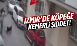 Tepkiler çığ gibi… İzmir’de köpeğe kemerli şiddet