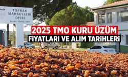TMO Kuru Üzüm Fiyatları 2025: Güncel Üzüm Fiyatları ve Alım Tarihleri