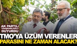 TMO’ya üzüm verenler parasını ne zaman alacak? AK Partili Yenişehirlioğlu açıkladı!