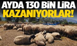 Ayda 130 bin lira kazanıyorlar!