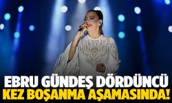 Ebru Gündeş dördüncü kez boşanıyor!