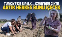 Türkiye’de bir ilk… İzmir’den çıktı! Herkes bunu içecek…