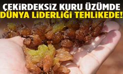 Çekirdeksiz kuru üzümde dünya liderliği tehlikede!