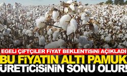 Ege’de pamuk hasadı başladı… Üretici fiyat beklentisini açıkladı!