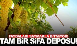 Üzümün faydaları… Üzüm nelere iyi geliyor?