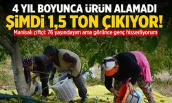4 yıl ürün alamayan Manisalı çiftçi şimdi 1,5 ton ürün çıkarıyor