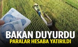 471,6 milyon lira destekleme ödemesi hesaplarda!