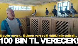 6 aydır her yerde arıyor… 20 bin TL’lik ödülü 100 bin TL’ye çıkardı!