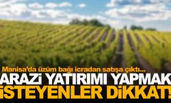 Arazi yatırımı yapmak isteyenler dikkat… 2 bin 200 metre bağ icradan satılıyor