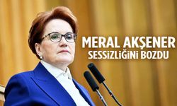 ‘Artık siyasette yokum’ demişti! Meral Akşener’den dikkat çeken paylaşım…