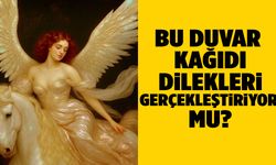 Bu duvar kağıdı dilekleri gerçekleştiriyor mu? Sosyal medya ikiye bölündü