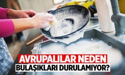 Avrupalılar Neden Bulaşıklarını Durulamadan Bırakıyor?