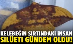 Kelebeğin sırtındaki insan silüeti sosyal medyada gündem oldu