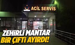 Zehirli mantar faciası: Koca hayatını kaybetti, eşi hastanede!