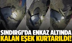 Sındırgı’da enkaz altındaki eşek kurtarıldı!