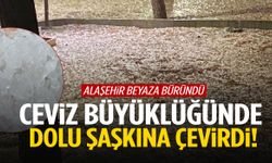 Alaşehir’de dolu şaşkınlığı... Bir anda bastırdı, her yer bembeyaz oldu!