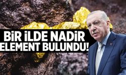 Bir ilimizde 'nadir element' bulundu