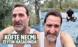 Çakallarla Dans’ın Köfte Necmi’si zeytin hasadında! İlk ürünlerini topladı…
