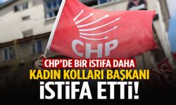 CHP’de bir istifa daha! Kadın kolları başkanı istifa etti: Skandal iddialar…