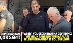 CHP'li başkan çok sert: İtlerin yanında it bol bulunur!