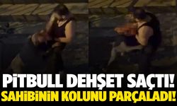 Dehşet sokakta yaşandı! Sahibine saldıran pitbull kamerada