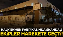 Halk ekmek fabrikasında fare skandalı!