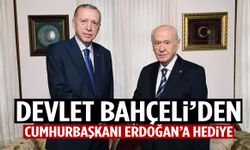 Devlet Bahçeli’den Cumhurbaşkanı Erdoğan’a hediye