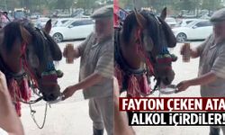 Düğünde skandal görüntü! Fayton atına alkol içirdiler