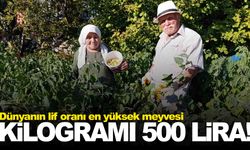 Manisa’da pazar tezgahında ‘altın’ var!