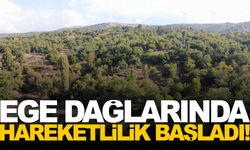 Ege dağlarında hareketlilik başladı!