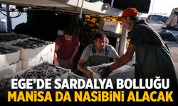 Ege'de sardalya bolluğu! Manisa da nasibini alacak...