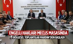 Engelli Bireylerin Sorunlarını Araştırma Komisyonu ilk adımı Mardin’den attı!