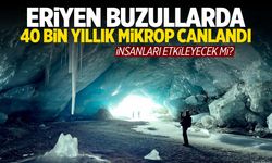 Eriyen buzullarda 40 bin yıllık mikrop canlandı