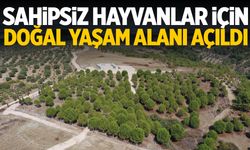 Manisa’nın ilçesinde 4.500 kapasiteli hayvan barınağı hizmete girdi!