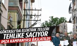 Göktaşlı’da elektrik telleri tehlike saçıyor: İmza kampanyası başlatıldı!