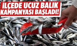 Manisa’nın ilçesinde ucuz balık kampanyası başladı!