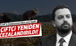 CHP'li Özkösemen'den faiz oranlarının artırılmasına tepki