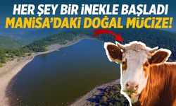 Her şey bir inekle başladı… Manisa’daki doğal mucize!