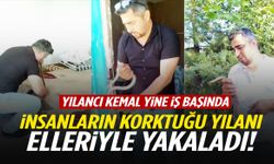 İnsanların korktuğu yılanı elleriyle yakaladı! ‘Yılancı Kemal’ iş başında…