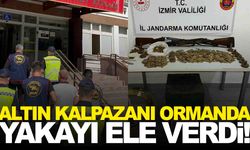 İzmir’de 13 yıldır aranan firari hükümlü ormanda yakalandı